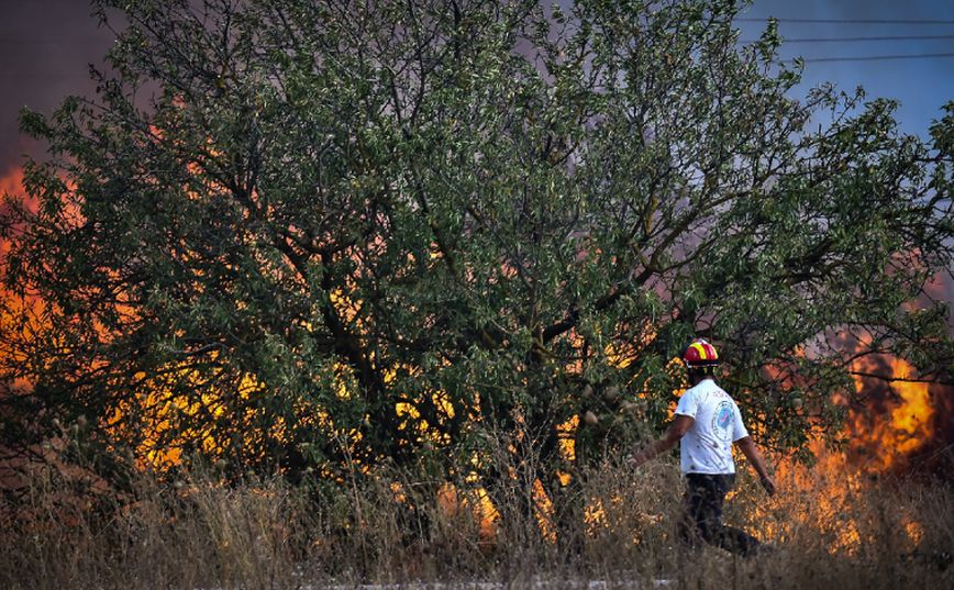 Φωτιά στη Μαγνησία: Πυροσβέστης μεταφέρθηκε με βαριά εγκαύματα στην Αθήνα