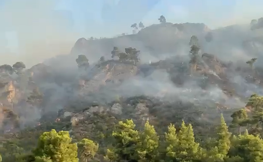 Συγκλονιστικό βίντεο αποτυπώνει τη φωτιά στην Αιγιαλεία &#8211; Καρέ καρέ η πύρινη λαίλαπα