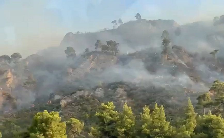 Συγκλονιστικό βίντεο αποτυπώνει τη φωτιά στην Αιγιαλεία – Καρέ καρέ η πύρινη λαίλαπα