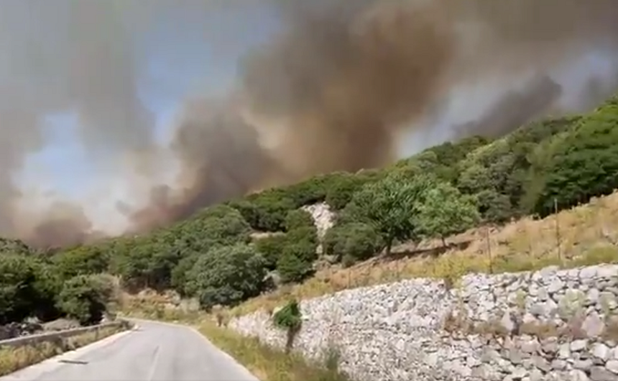Φωτιά τώρα στη Νάξο: Ενισχύονται οι δυνάμεις με πυροσβέστες από τη Σύρο – Επιχειρούν και εθελοντές