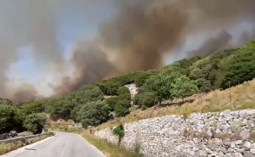 Φωτιά τώρα στη Νάξο: Ενισχύονται οι δυνάμεις με πυροσβέστες από τη Σύρο &#8211; Επιχειρούν και εθελοντές