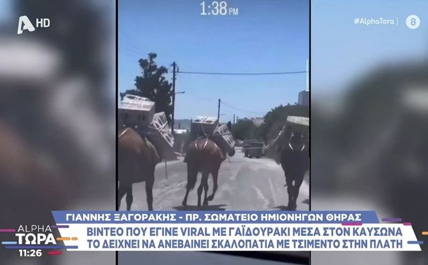 Αντιδράσεις για βίντεο με «γαϊδούρια στη Σαντορίνη φορτωμένα με τσιμεντόλιθους στους 38 βαθμούς»