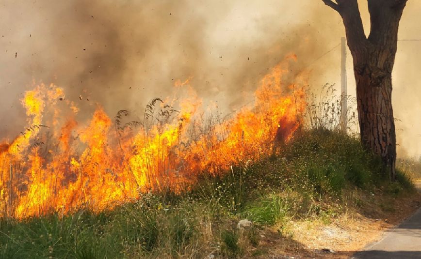 Φωτιές στην Ιταλία: Μάχη με τις φλόγες και στην Απούλια – Συναγερμός για να μην επεκταθεί σε κοντινά τουριστικά χωριά