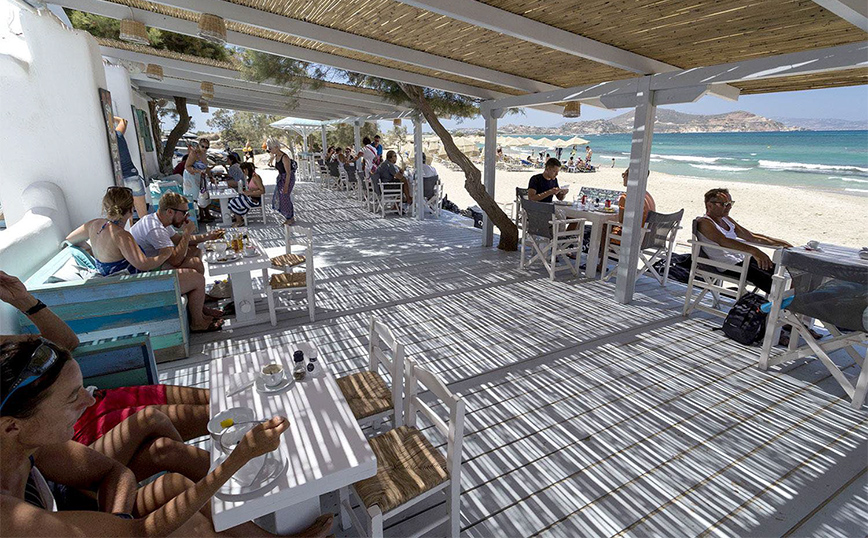 Επιλέξτε καλαμωτές για ποιοτική περίφραξη και σκίαση του χώρου σας!