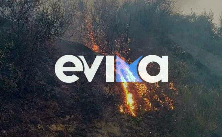 Φτάνουν τα 20 μέτρα οι φλόγες στη φωτιά στην Κάρυστο – «Χρειαζόμαστε εναέρια μέσα», λέει ο δήμαρχος