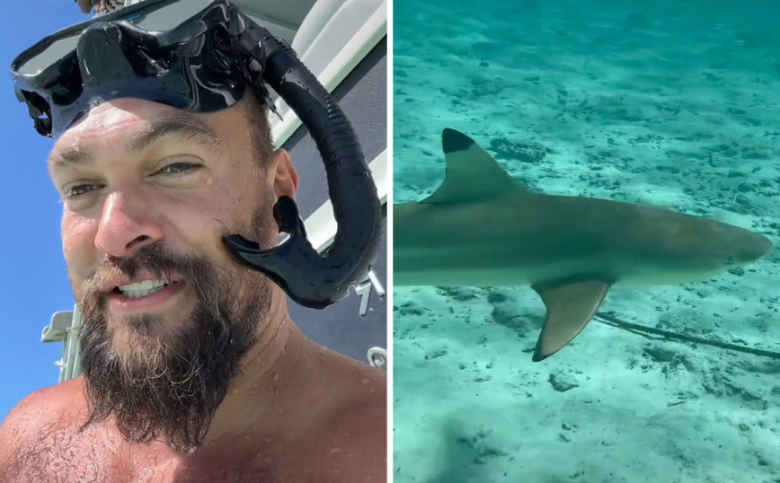 O Τζέισον Μομόα κολυμπάει με καρχαρίες και στέλνει το μήνυμά του