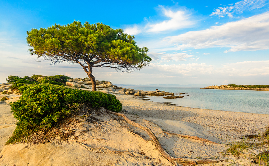 Καρύδι, Χαλκιδική Καρύδι, Χαλκιδική