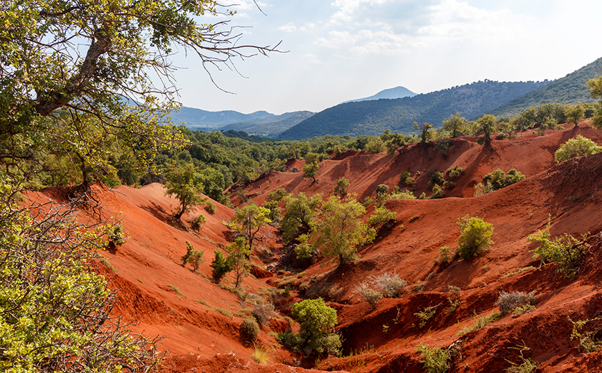 Κοκκινοπηλός, Πρέβεζα