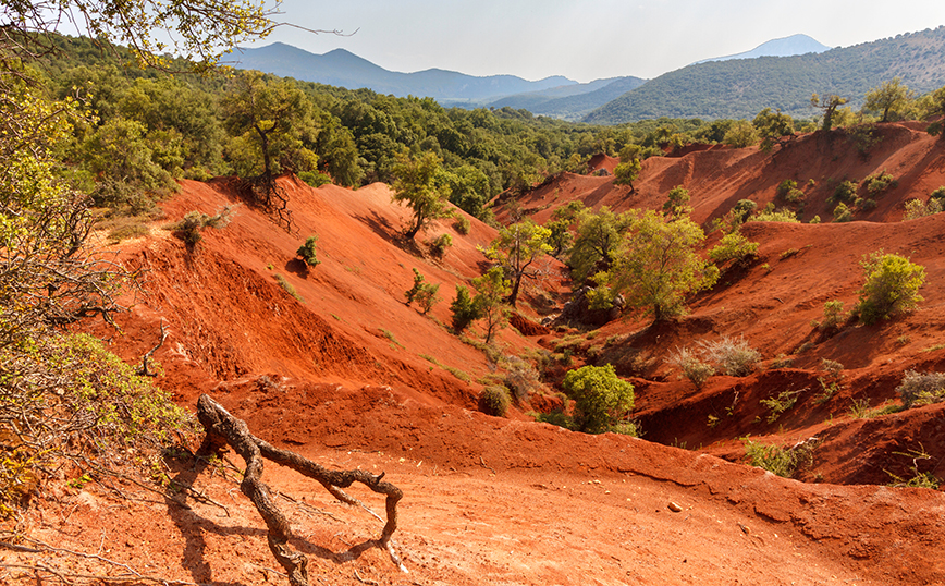 Κοκκινοπηλός, Πρέβεζα