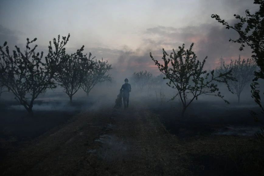 Φωτιά στη Μαγνησία: Ξεκίνησε η διαδικασία καταγραφής των ζημιών