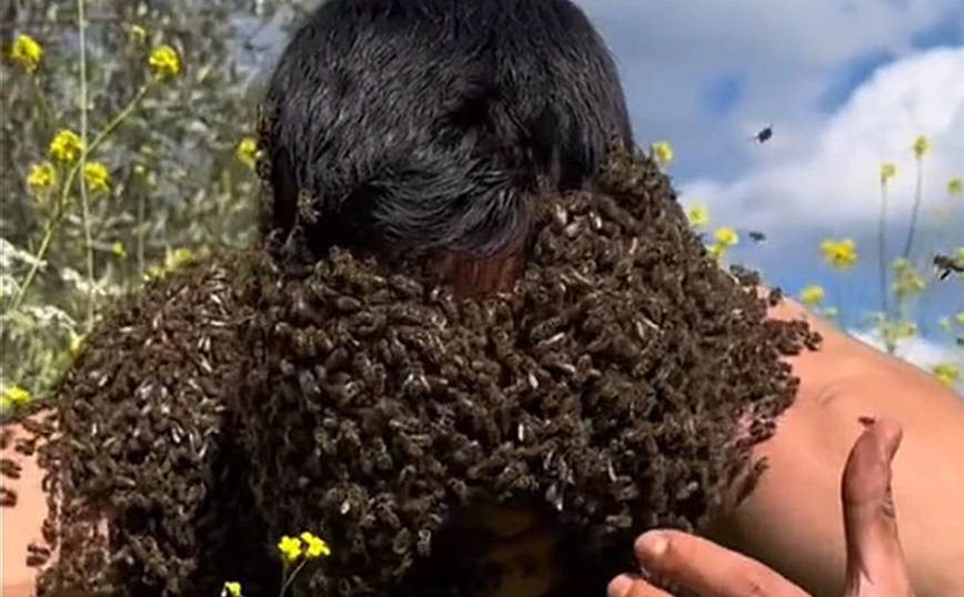 Δείτε σε βίντεο τον μελισσοκόμο Χάρη Σταμάτη από το Αγρίνιο που αφήνει χιλιάδες μέλισσες να κάτσουν πάνω στο κεφάλι του
