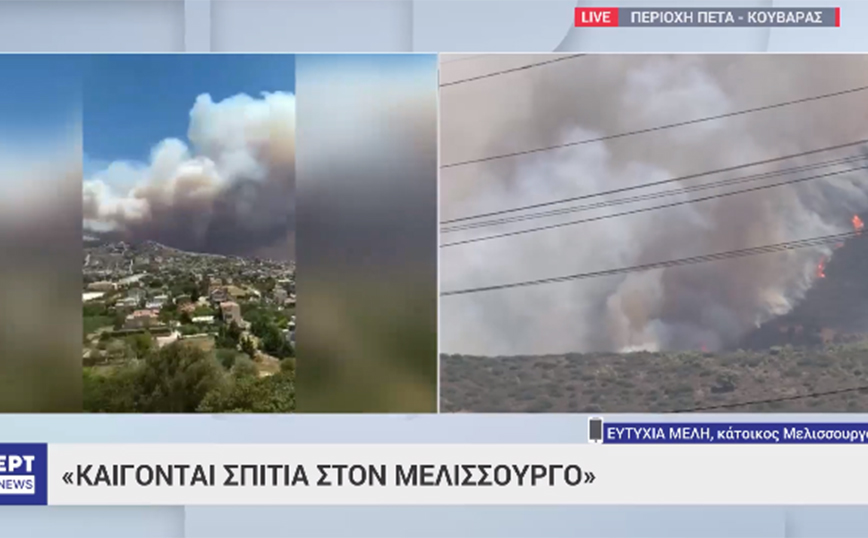 Ευτυχία Μέλη: Έντρομη η ηθοποιός για τη φωτιά στο Λαγονήσι – «Καίγονται σπίτια, καίγονται καταφύγια με ζώα»
