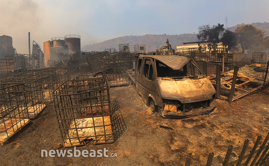 Αποκαρδιωτικές εικόνες από το πέρασμα της φωτιάς κοντά στην Οινόη και στη Στεφάνη &#8211; Κατέστρεψαν τα πάντα οι φλόγες