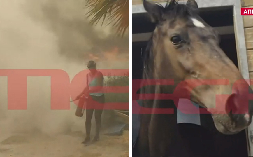 Ιππικός Όμιλος Αναβύσσου: Προσπαθεί με πυροσβεστήρα να σώσει από τη φωτιά τα 15 εγκλωβισμένα άλογα