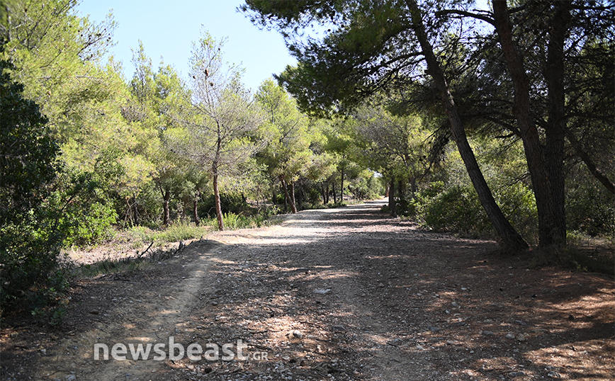 Γιατί έκλεισε τα πάρκα στην Αττική η περιφέρεια – Ακραίος ο κίνδυνος πυρκαγιάς, κατάσταση συναγερμού