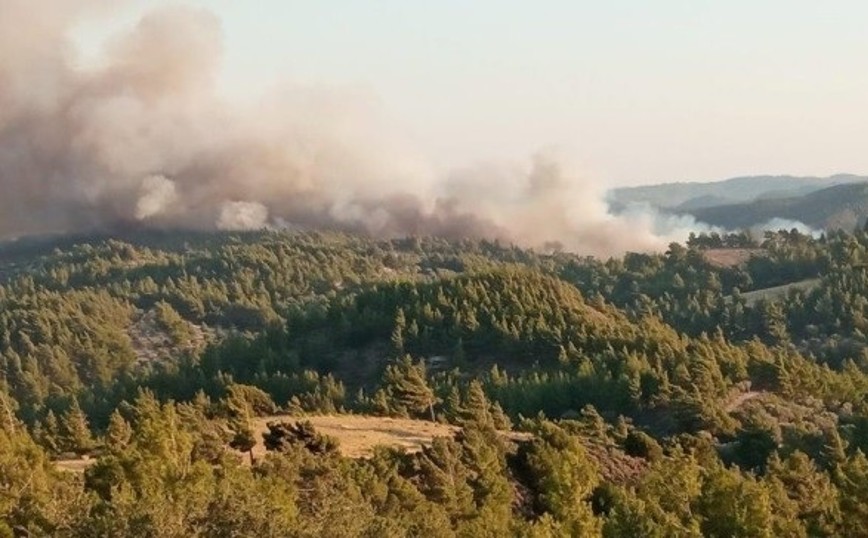 Φωτιά τώρα στη Ρόδο &#8211; Καίγεται πυκνό δάσος