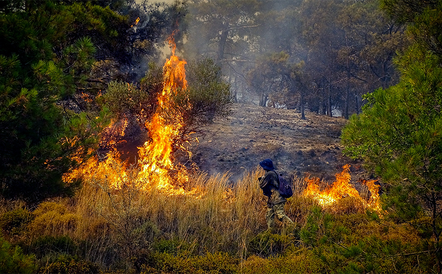 Κάηκαν 135.000 στρέμματα δάσους στη Ρόδο, σύμφωνα με υπολογισμούς του πανεπιστημίου Αθηνών