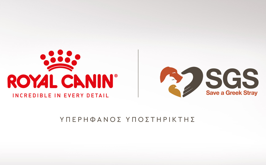 Η Royal Canin Hellas ενώνει τις δυνάμεις της με τη “Save a Greek Stray” και στηρίζει το πρόγραμμα «Ιαματική Ζωοφιλία»