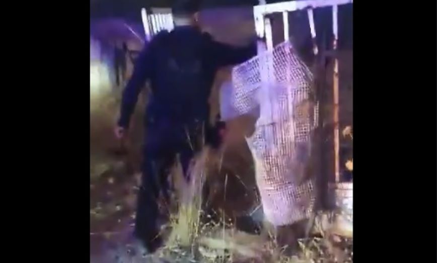Φωτιά στη Μάνδρα: Αστυνομικοί απεγκλωβίζουν αβοήθητο σκύλο