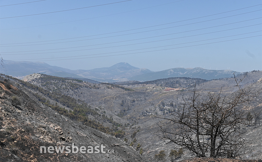 Η επόμενη μέρα στα Δερβενοχώρια: Οδοιπορικό σε οικισμούς που κάηκαν στη μεγάλη φωτιά