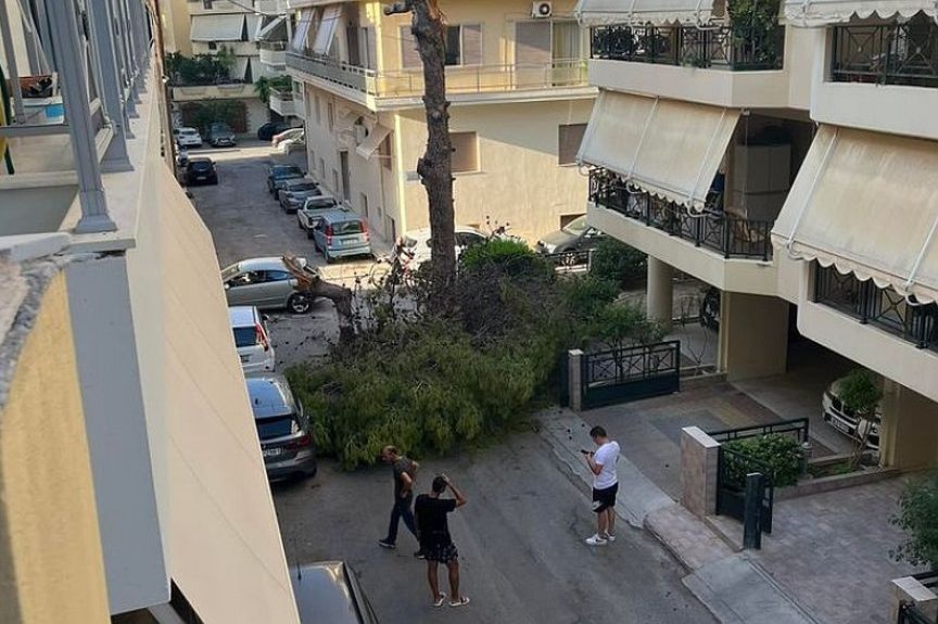 Κρήτη: Έπεσε δέντρο σε γειτονιά του Ηρακλείου – Από τύχη δεν τραυματίστηκε κανείς