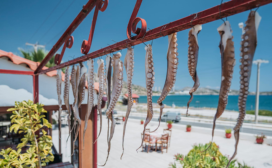 ταβέρνα Ο Φόρος ταβέρνα Ο Φόρος