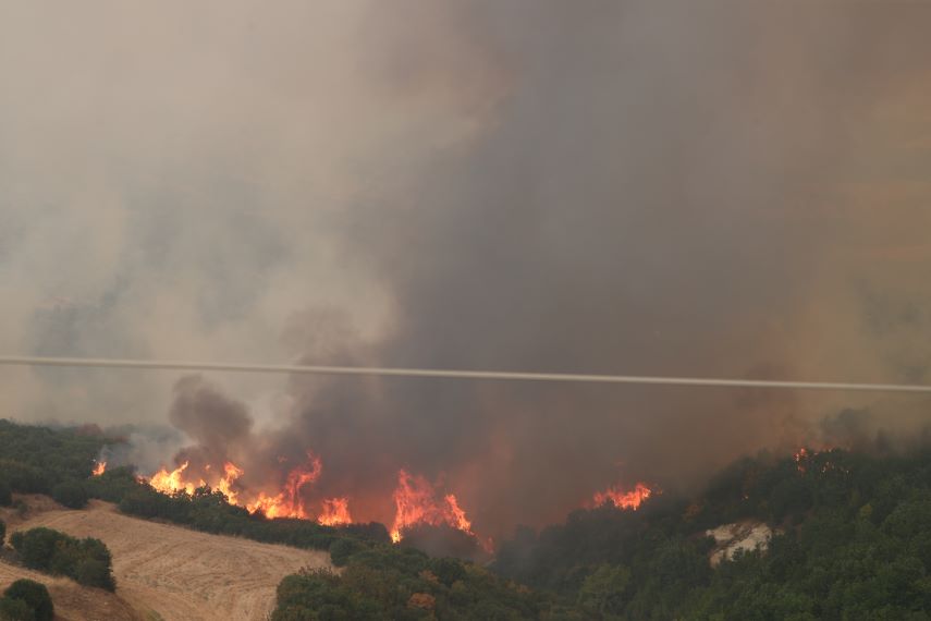 Φωτιά στον Έβρο: Ισχυρό το μέτωπο &#8211; «Αντιμετωπίσαμε περισσότερες από 600 πυρκαγιές»