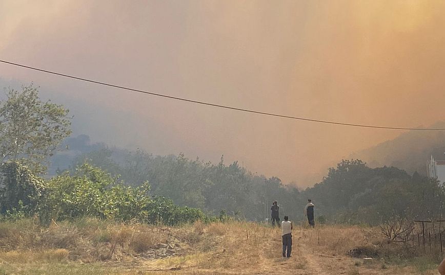 Φωτιά στην Αλεξανδρούπολη: Καταστροφική η πυρκαγιά για αγρότες και κτηνοτρόφους -Κάηκαν καλλιέργειες, κυψέλες και ζώα