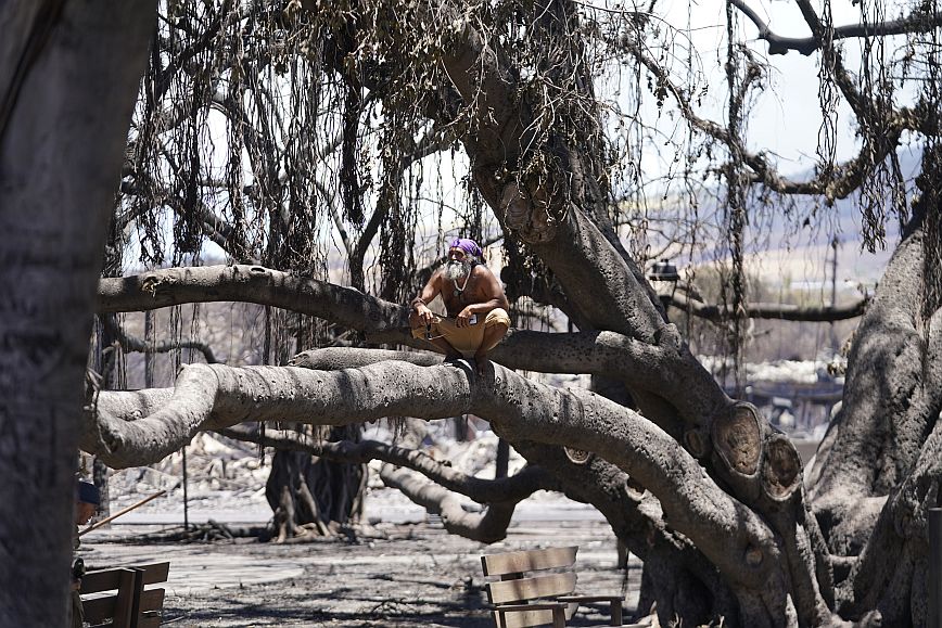 Τουλάχιστον 67 νεκροί από τις πυρκαγιές στη Χαβάη &#8211; Αποκαρδιωτικές εικόνες στο τουριστικό θέρετρο Λαχέινα