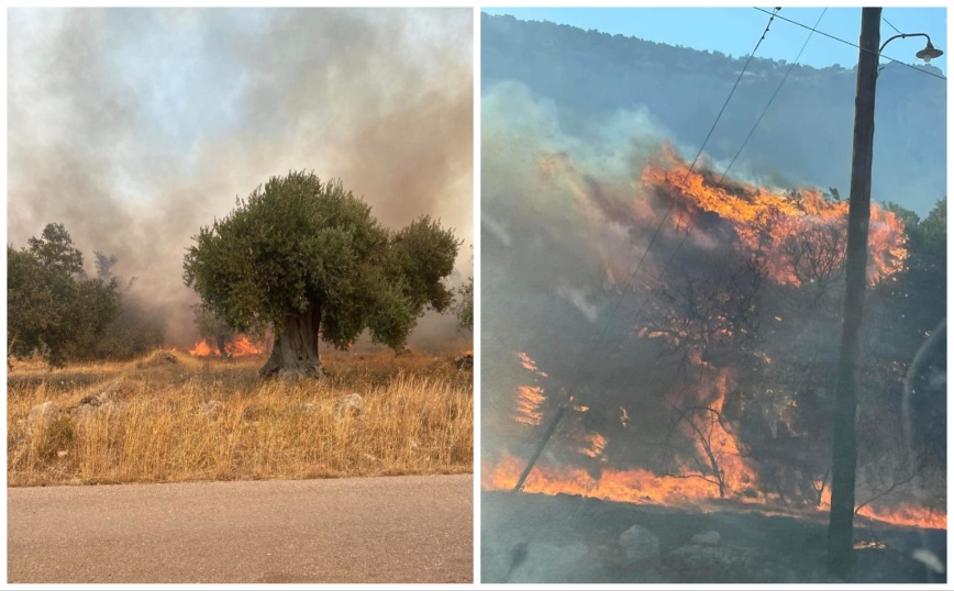 Μεγάλη φωτιά και δύσκολη νύχτα στο Σαράντι Βοιωτίας – «Είναι ανεξέλεγκτη»