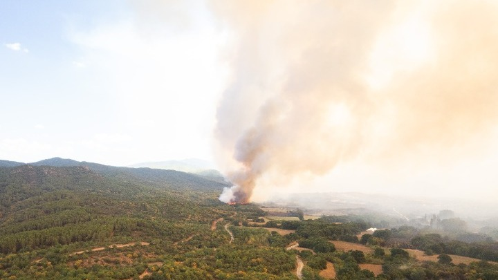 Συνολικά τέσσερις εστίες φωτιάς από κεραυνούς σε Μαραθώνα &#8211; Γραμματικό: Έπεσαν 270 κεραυνοί σε μια ώρα