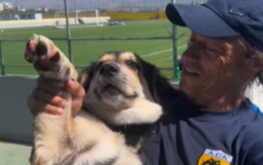 ΑΕΚ: Το αδέσποτο σκυλί που υιοθέτησε ο Ματίας Αλμέιδα έχει γίνει η ψυχή του προπονητικού κέντρου