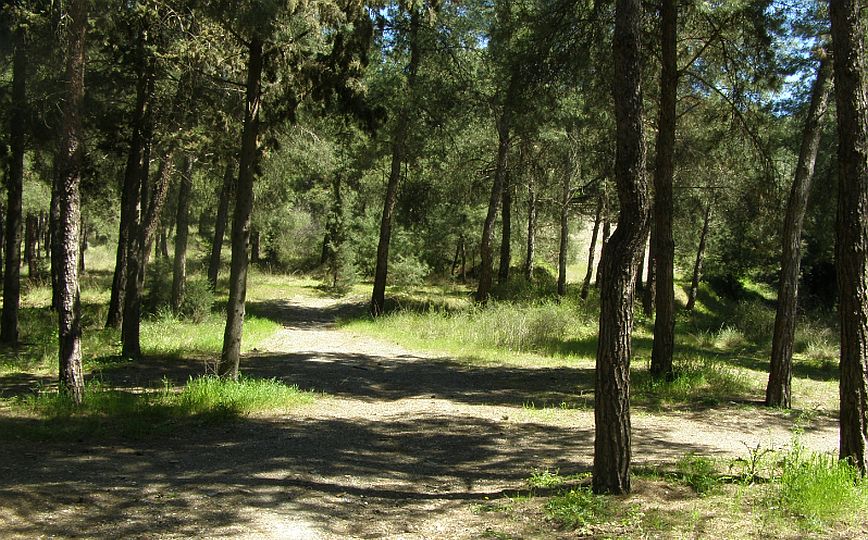 Θεσσαλονίκη: Aπαγόρευση κυκλοφορίας την Κυριακή στο Σέιχ Σου λόγω κινδύνου πρόκλησης πυρκαγιάς