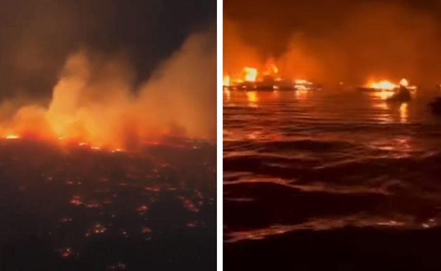 Εφιαλτικές εικόνες από τη φωτιά στο Μάουι της Χαβάης – Βουτάνε στη θάλασσα για να ξεφύγουν από τις φλόγες