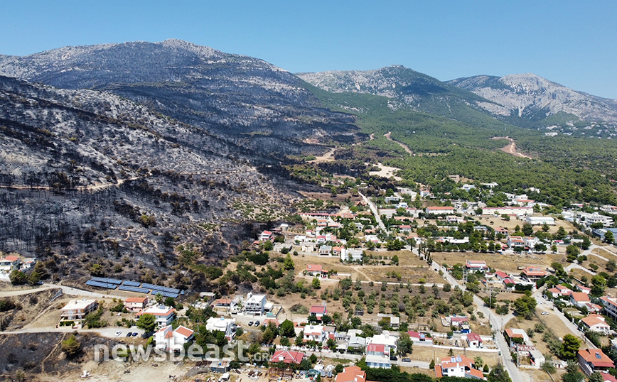 Το σεληνιακό τοπίο που άφησε πίσω της η φωτιά στην Πάρνηθα – Καμένα δέντρα και σπίτια ανάμεσα στο λιγοστό πια πράσινο