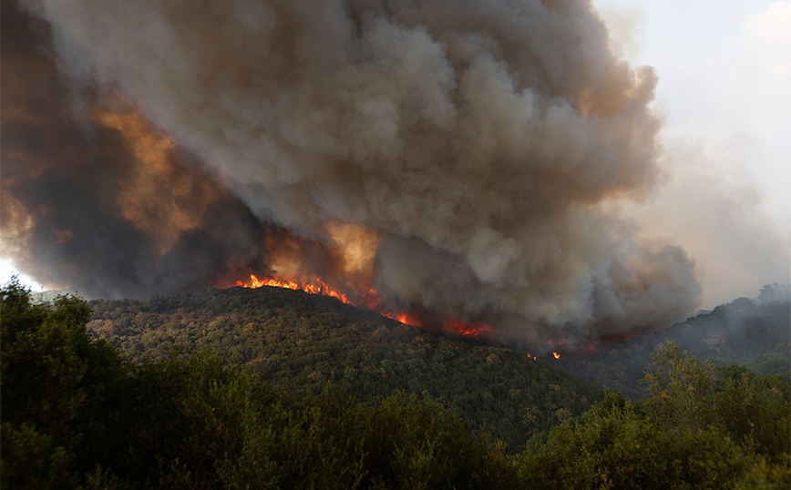 Ενισχύεται η ένταση και η έκταση του πύρινου μετώπου στον Έβρο &#8211; Πύρινος εφιάλτης για 13η ημέρα