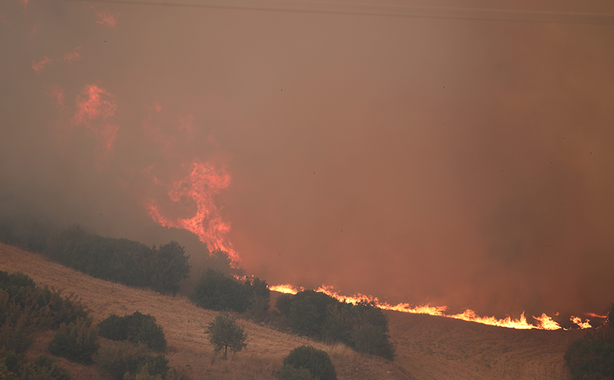 Αγώνας για τη φωτιά στον Έβρο &#8211; «Μάχονται» οι ενισχυσείς από τη Βουλγαρία, την Τσεχία, την Αλβανία και τη Ρουμανία