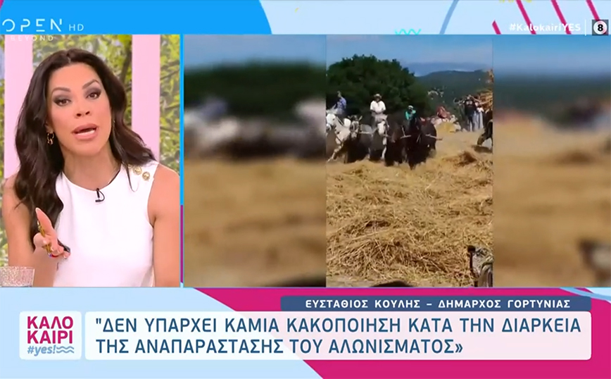 Πανικός στον «αέρα» για το «έθιμο» του «παραδoσιακού αλωνίσματος»: «Είμαι γόνος αγροτικής οικογένειας, έχω χτυπήσει κι εγώ ζώα»