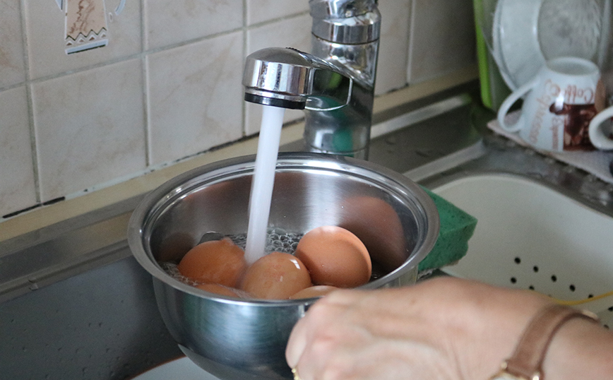 Πλύσιμο αυγών Πλύσιμο αυγών
