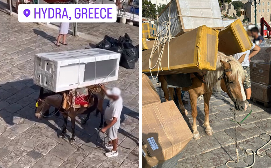 Φόρτωσαν βαριά αντικείμενα σε γαϊδουράκι στην Ύδρα – Το άτυχο ζώο παραπατά από το βάρος