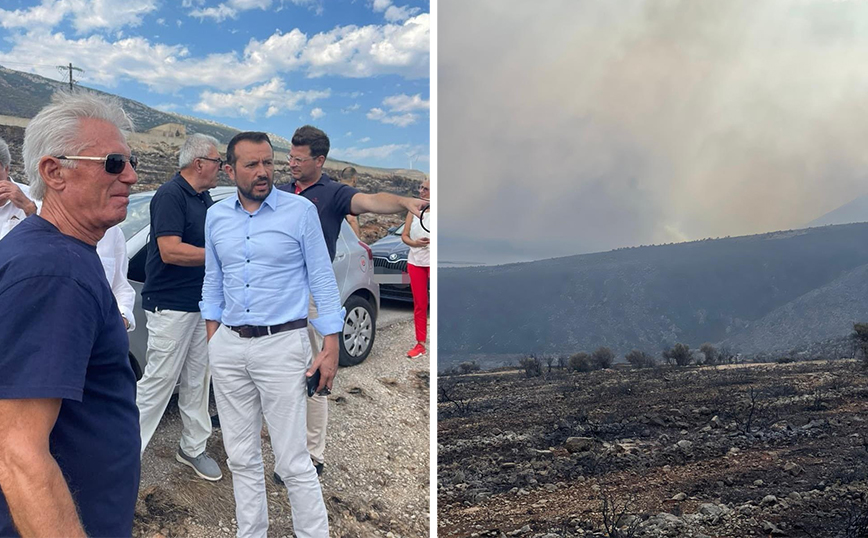 Νίκος Παππάς: Αποκαρδιωτική η εικόνα στη Βοιωτία – Μηδενική η πρόληψη, αργή η αντίδραση από την κυβέρνηση Μητσοτάκη