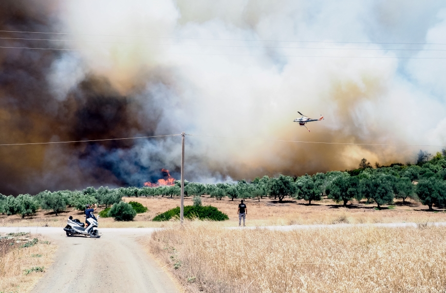 Ανεξέλεγκτη η φωτιά στα Ψαχνά Ευβοίας – Κινείται προς Βατώνα το πύρινο μέτωπο