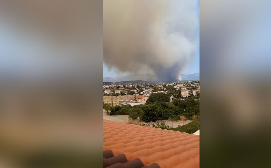 Ο 17χρονος ΑμεΑ που προσήχθη για εμπρησμό στα Ψαχνά φέρεται να «πιάστηκε» από κάμερα να ανάβει φωτιά σε θάμνο – Τον κατήγγειλε η μητέρα του