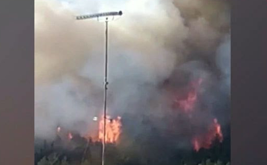Φωτιά στα Γρεβενά: Σηκώθηκαν 4 ελικόπτερα – Κοντά σε σπίτια το πύρινο μέτωπο