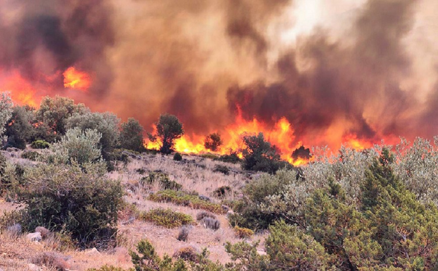 Καίγονται σπίτια στο Διαλεκτό – Μηνύματα του 112 για εκκένωση 4 περιοχών, τραυματίστηκαν πυροσβέστες