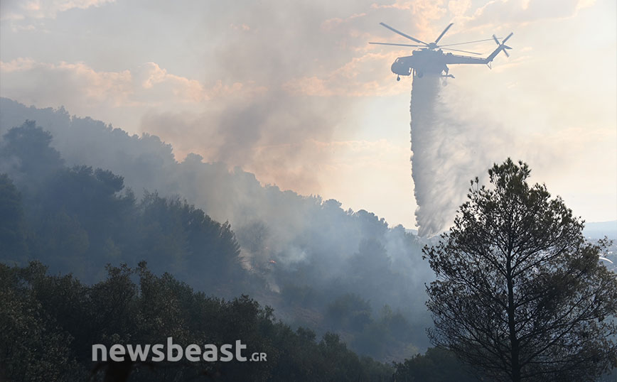 Πύρινος εφιάλτης στην Αττική: Αγωνία για την Πάρνηθα, έσπασε στα δύο η φωτιά – Στα σπίτια στο Μενίδι οι φλόγες