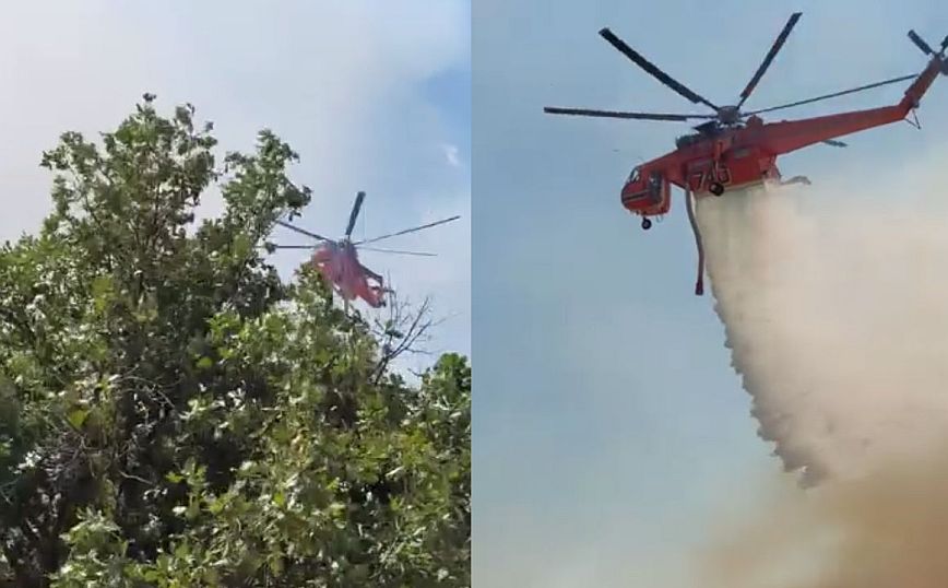 Φωτιά στην Αλεξανδρούπολη: Νέο μήνυμα από το 112 &#8211; Εκκενώνονται οι οικισμοί Νίψα, Αετοχώρι και Πεύκα