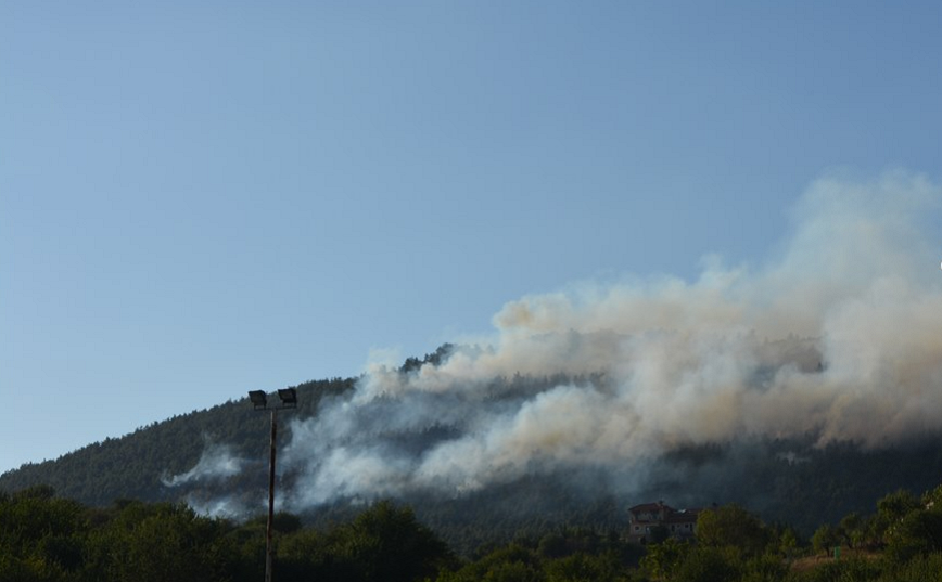 Φωτιά στην Τρίπολη: Προσήχθη ύποπτος για εμπρησμό – Καλύτερη εικόνα, ακολουθεί ολονύχτια μάχη για τυχόν αναζωπυρώσεις