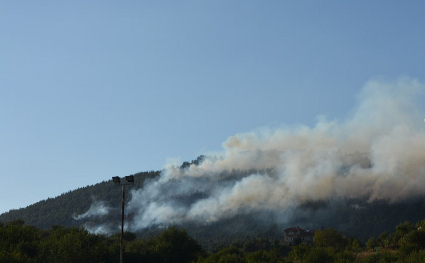 Φωτιά στην Τρίπολη: Προσήχθη ύποπτος για εμπρησμό &#8211; Καλύτερη εικόνα, ακολουθεί ολονύχτια μάχη για τυχόν αναζωπυρώσεις