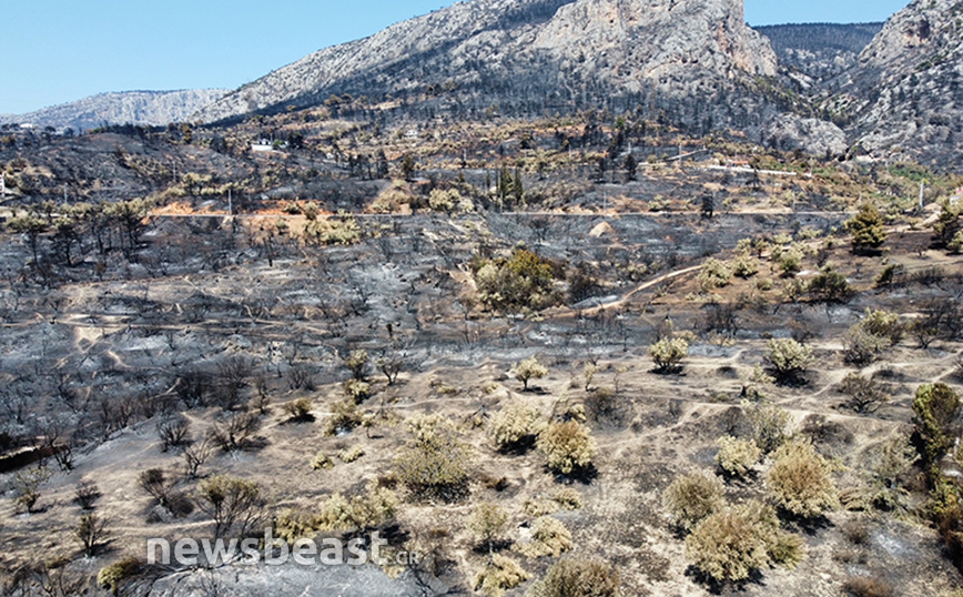 Αεροφωτογραφίες από Λεωφόρο Φυλής προς Χασιά και μονή Κλειστών Αεροφωτογραφίες από Λεωφόρο Φυλής προς Χασιά και μονή Κλειστών